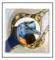 Link to Cassowary Plate page