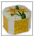 Cowslip orchid boxes