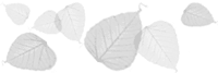 leaf motive
